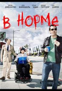 В норме (сериал 2013)
