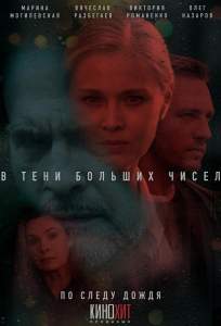 В тени больших чисел (сериал 2024)