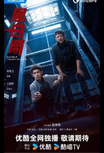 Развилка к правде / Игра в черное и белое / Чёрно-белое бюро (сериал 2025)